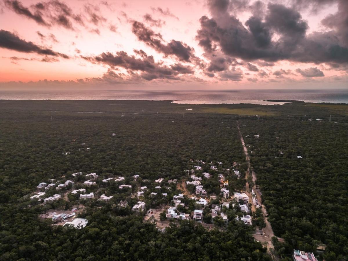 Villa Xuncari En El Corazon De La Selva Tulum Pueblo Buitenkant foto